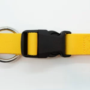 collare 100% riciclato lemon