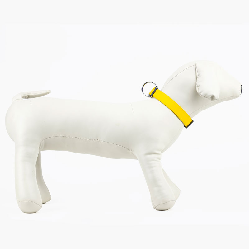G&s deals dog collar