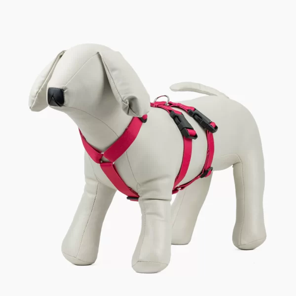 Pettorina Extra Safe Ribes - immagine 2