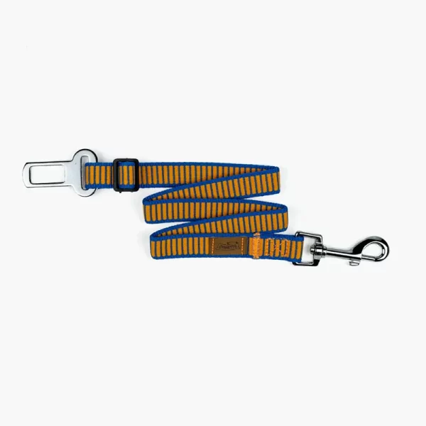 Muttley's Belt Sunset
