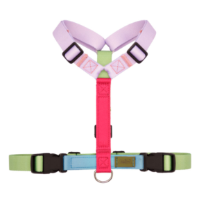 Amber Harness (Copia)