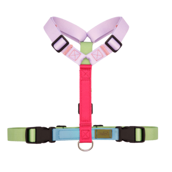 Amber Harness (Copia)